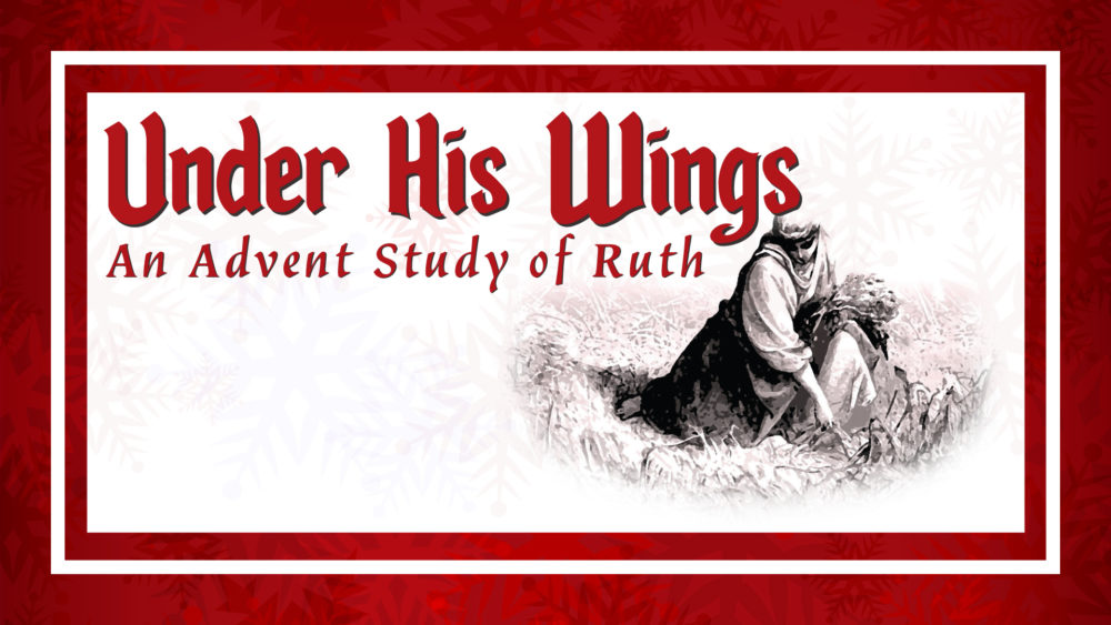 Under His Wings: An Advent Study of Ruth
