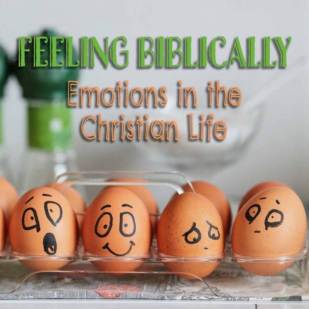 FEELING BIBLICALLY: Emotions in the Christian Life