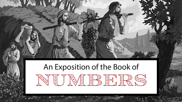 An Exposition of Numbers